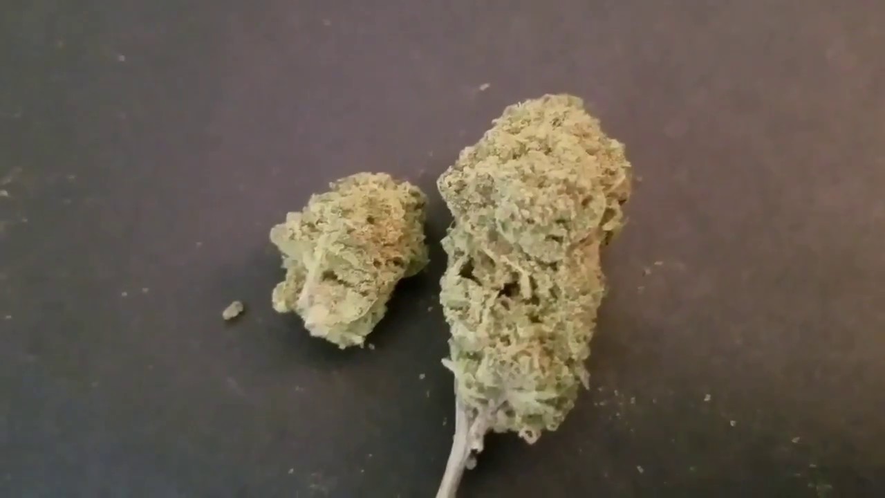 HOMRGROWN 