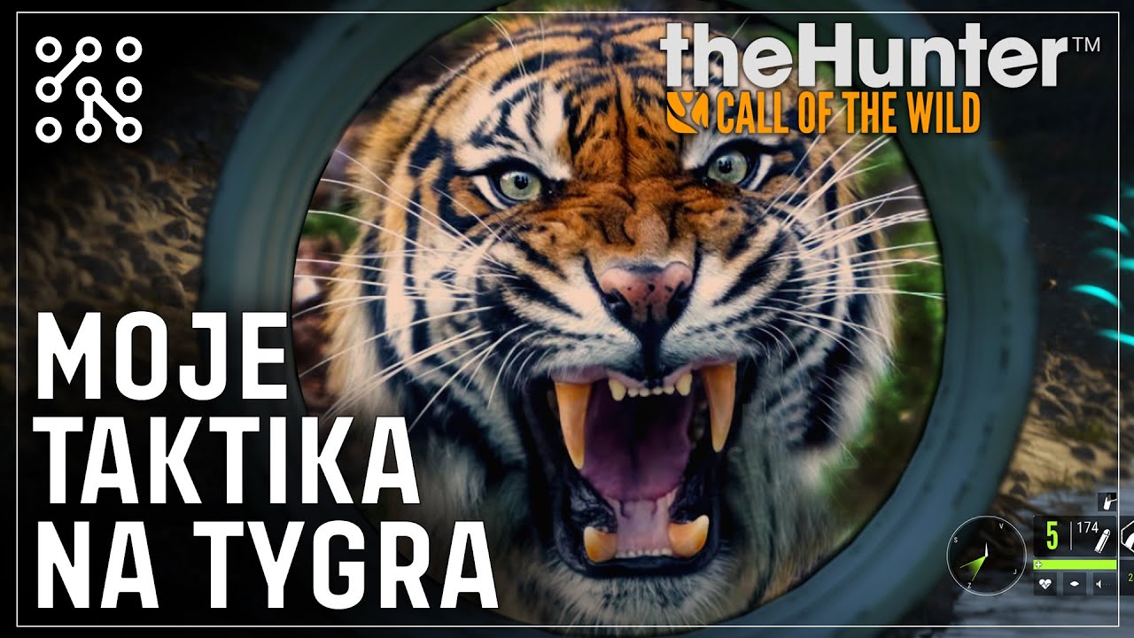 Agresivní tygr 🐯SUNDARPATAN  Early Access | theHunter: Call of the wild CZ |  Česky