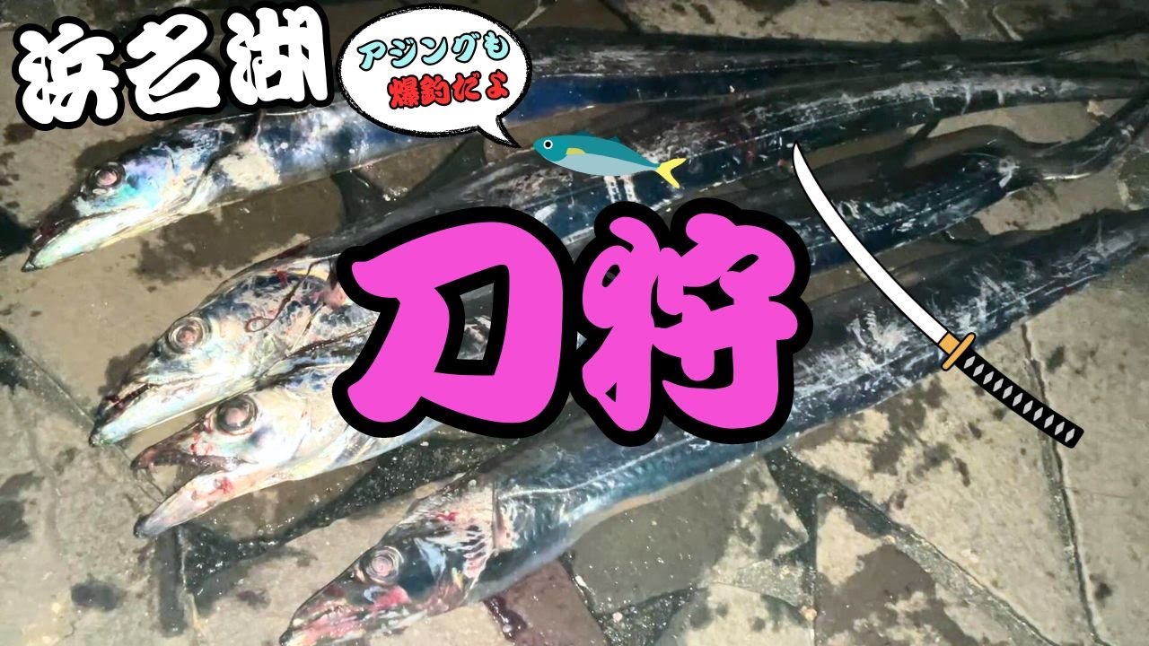 【浜名湖】で初心者がタチウオ釣りたければDAISOの仕掛けで十分だった・・・
