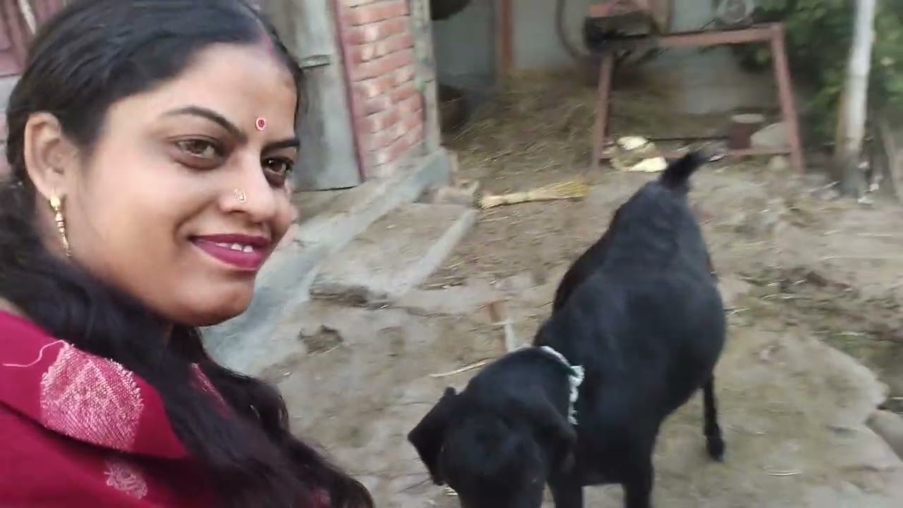 mmi ki bkri jo mujhe bhut Marti h