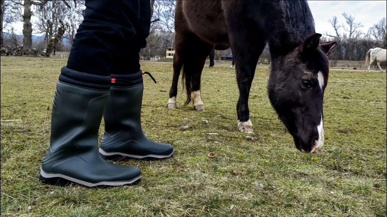 Dunlop Blizzard -15&deg;C | Zateplen&eacute; gum&aacute;ky | REPRESENT. Workwear