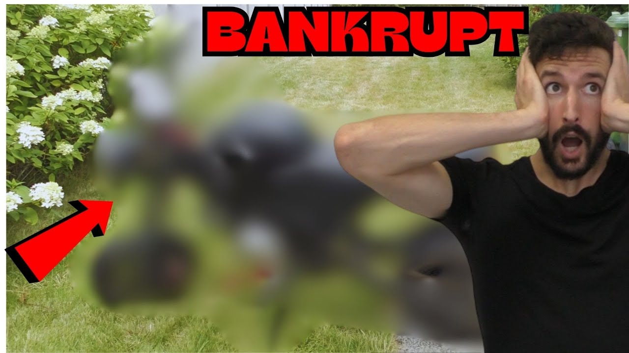 НИКОГДА НЕ ПОКУПАЙТЕ ТАКИЕ ВЕЛОСИПЕДЫ, ЧТОБЫ ПЕРЕПРОДАВАТЬ (больше часов, чем прибыли)