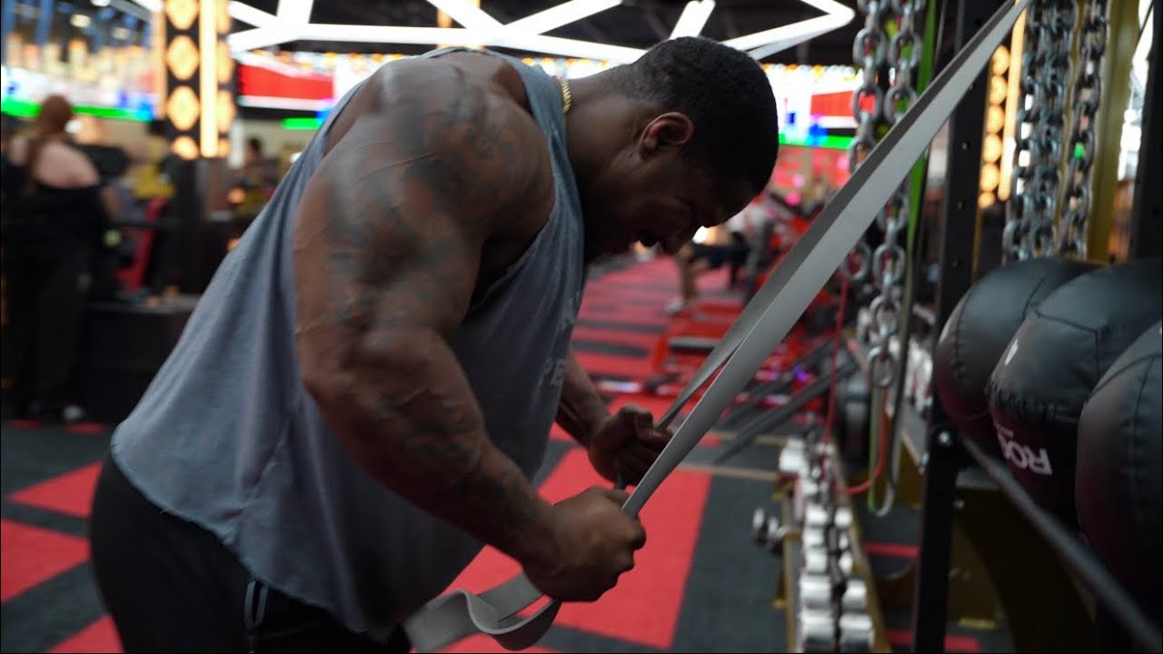 MEATHEAD ACTIVITIES: | The Band Work Will Forever Be Goated | | Chest & Tri’s | | 1% Better |
