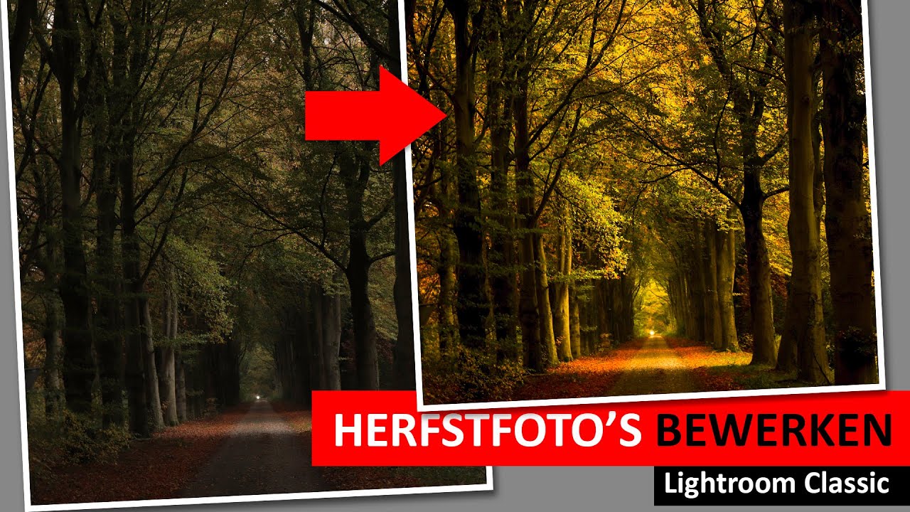 Lightroom Classic | Herfstfoto's bewerken (Dutch)