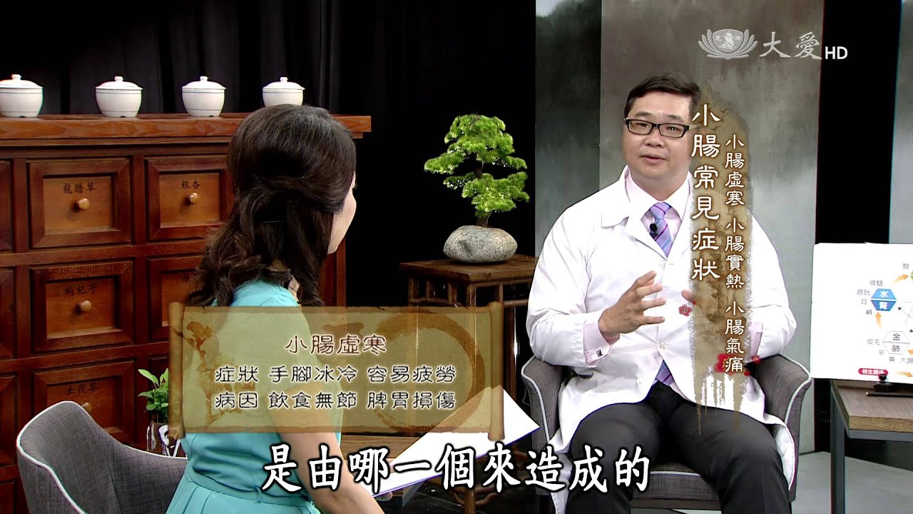 【看中醫】20150411 - 中醫藏象學 - 小腸