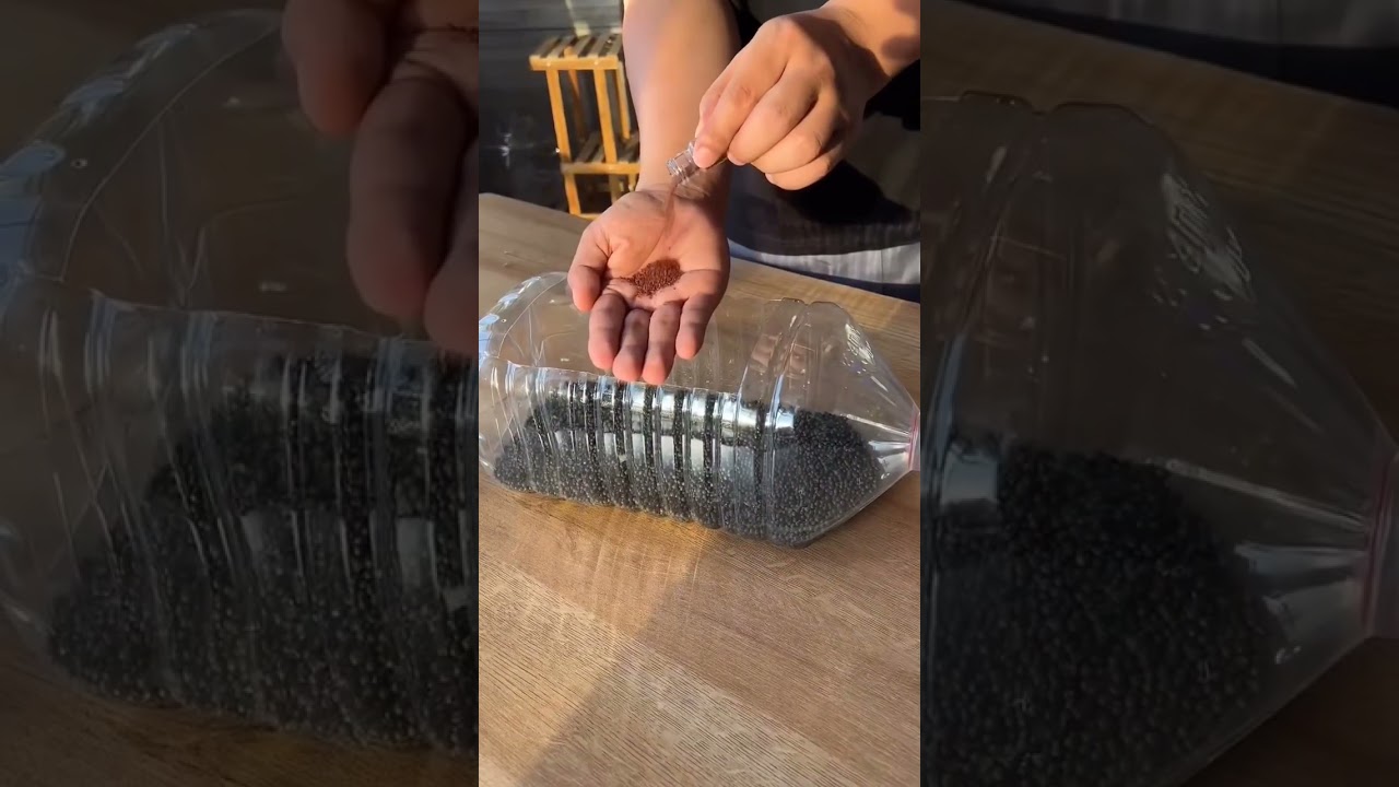 Easy to make beautiful aquarium in a plastic bottle 😍
