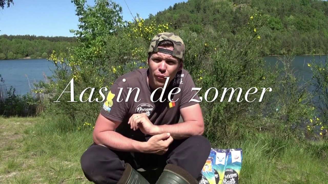 Zomer tips