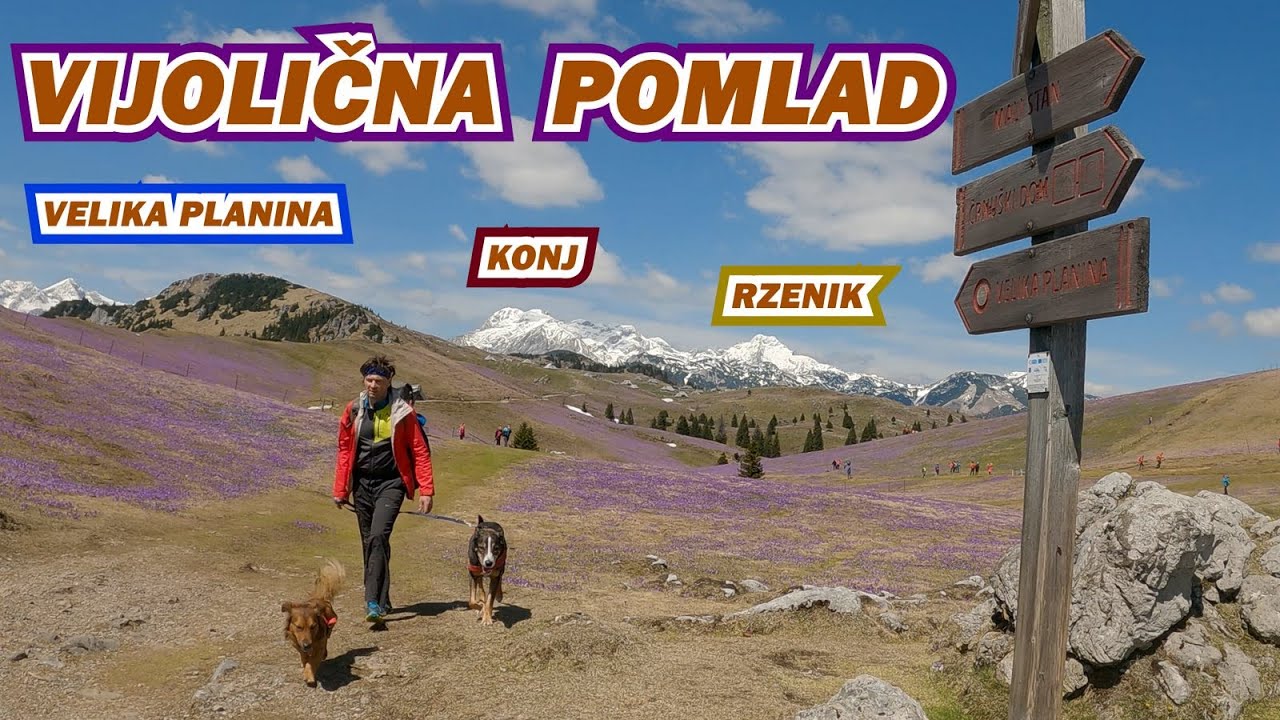 VELIKA PLANINA, KONJ, RZENIK...