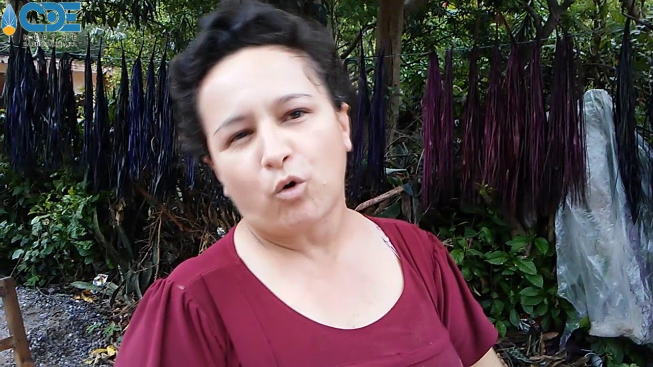 DOÑA IRMA TEÑIDO DE JUNCO EN ARADA
