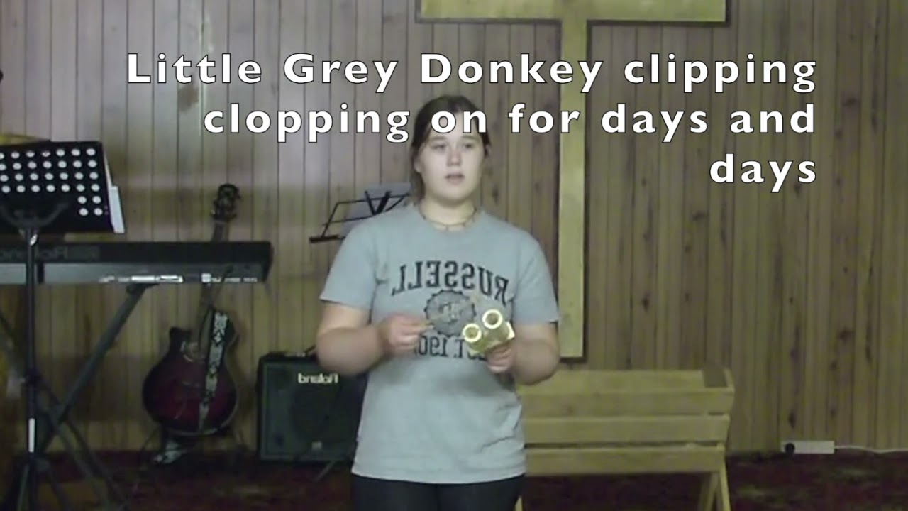 2 Little Grey Donkey