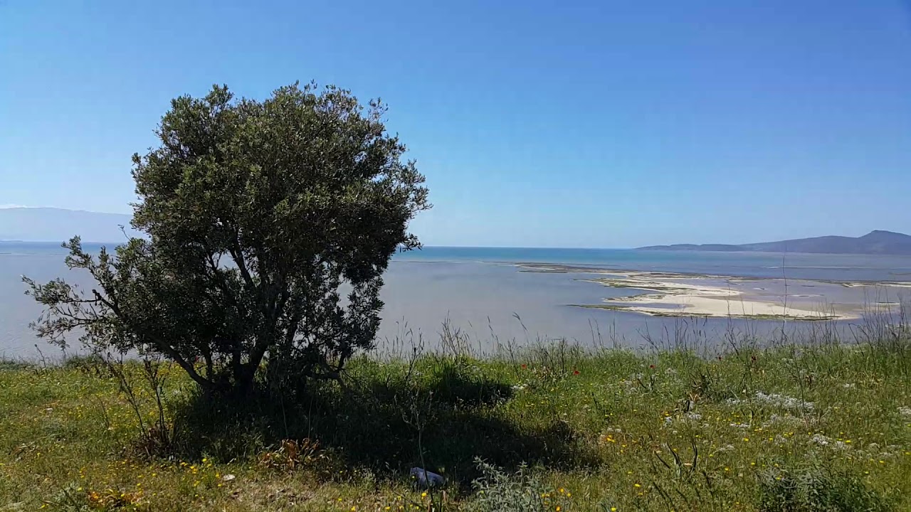izmir kuş cenneti - izmir bird paradise