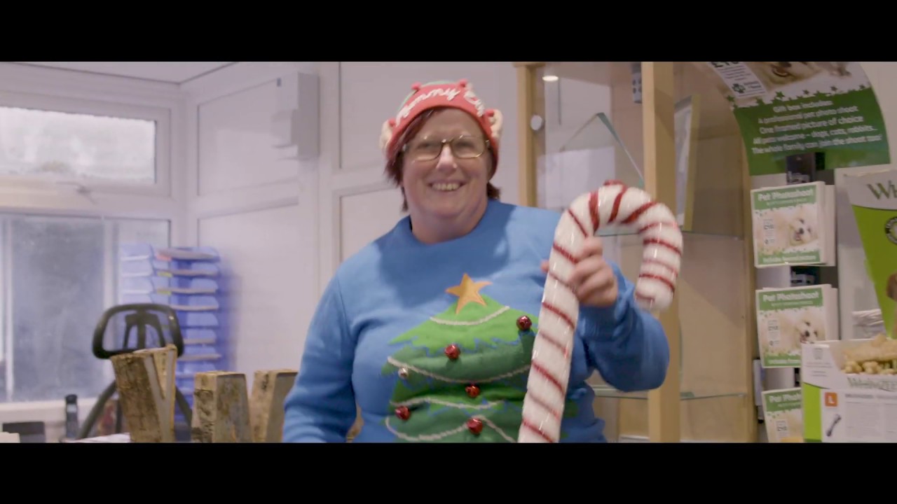 Animals In Need   Christmas Film 2019