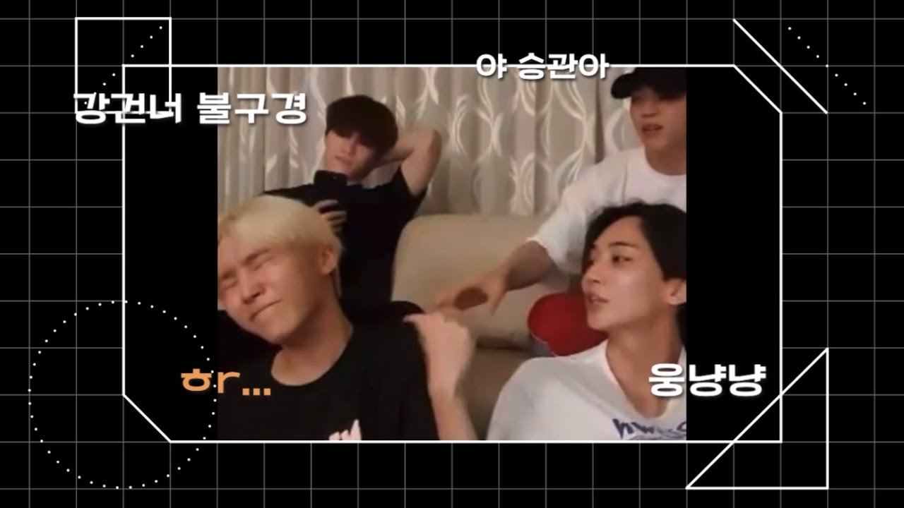 [세븐틴] 뿌스테라로 시작해서 승관몰이로 끝난 위버스 라이브..