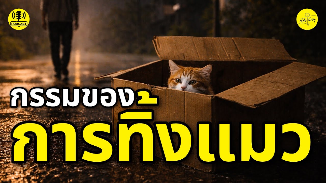 กรรมของการทิ้งแมว | เข้าใจง่ายๆ