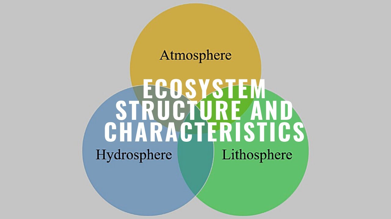 002: Ecosystem Structure and Characteristics. #Ecology #Ecosystem