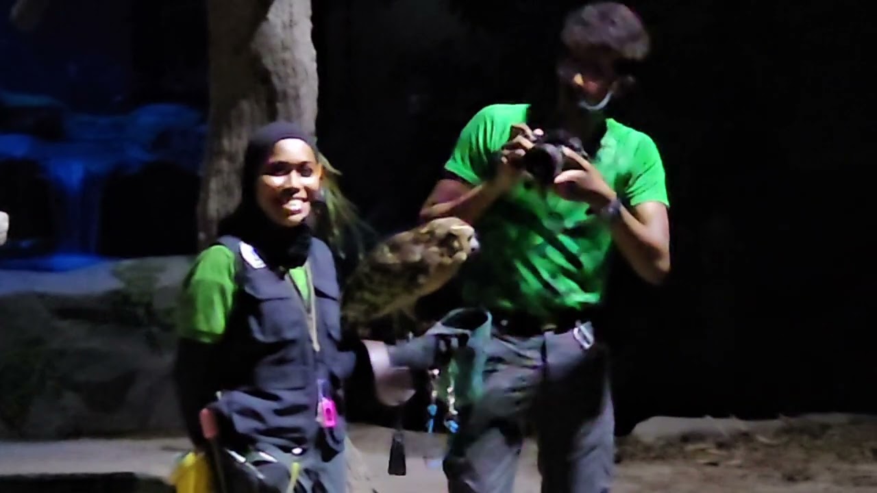 SG Night Safari 