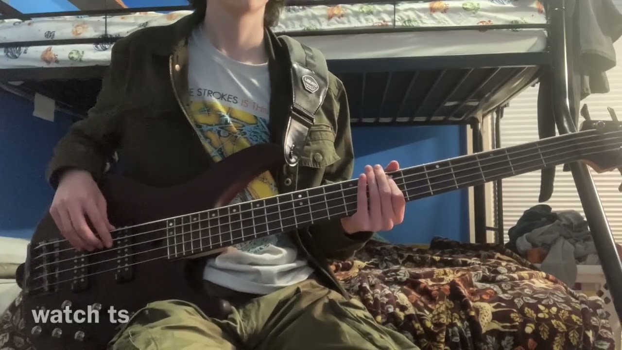 (Bass Cover) Reptilia - The Strokes 