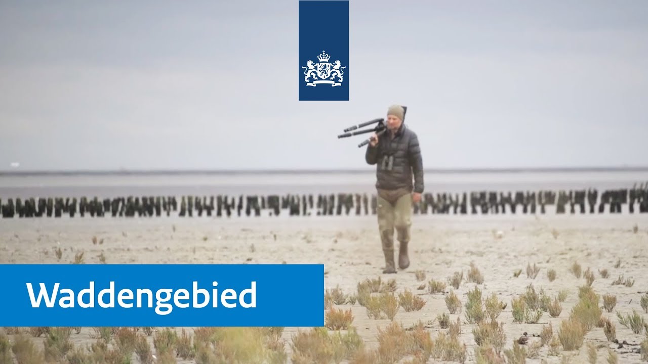 Mooiste natuurgebied | Waddengebied