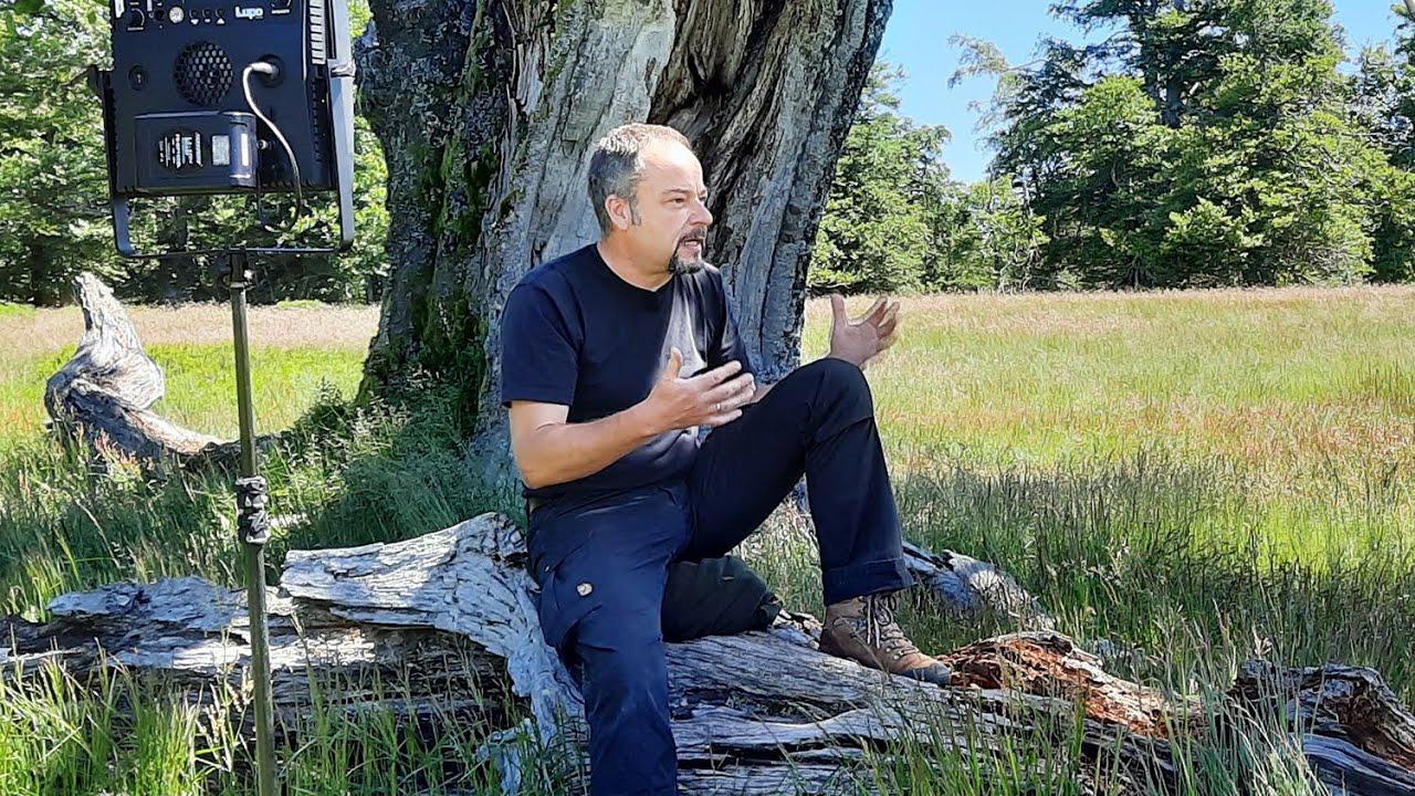 Filmemacher trifft Wildnis: Auf eine Baumlänge mit Jan Haft