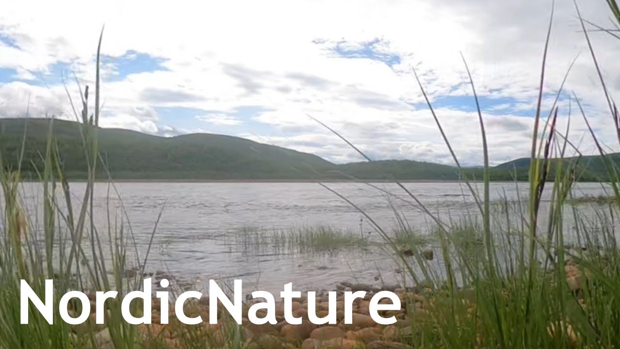 Lapland, Norway: the Tana River 360, Finnmark, northernmost part of continental Europe, 69° N