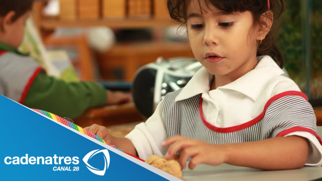 ¿Cómo ayudar a un niño distraído? / Consejos para padres