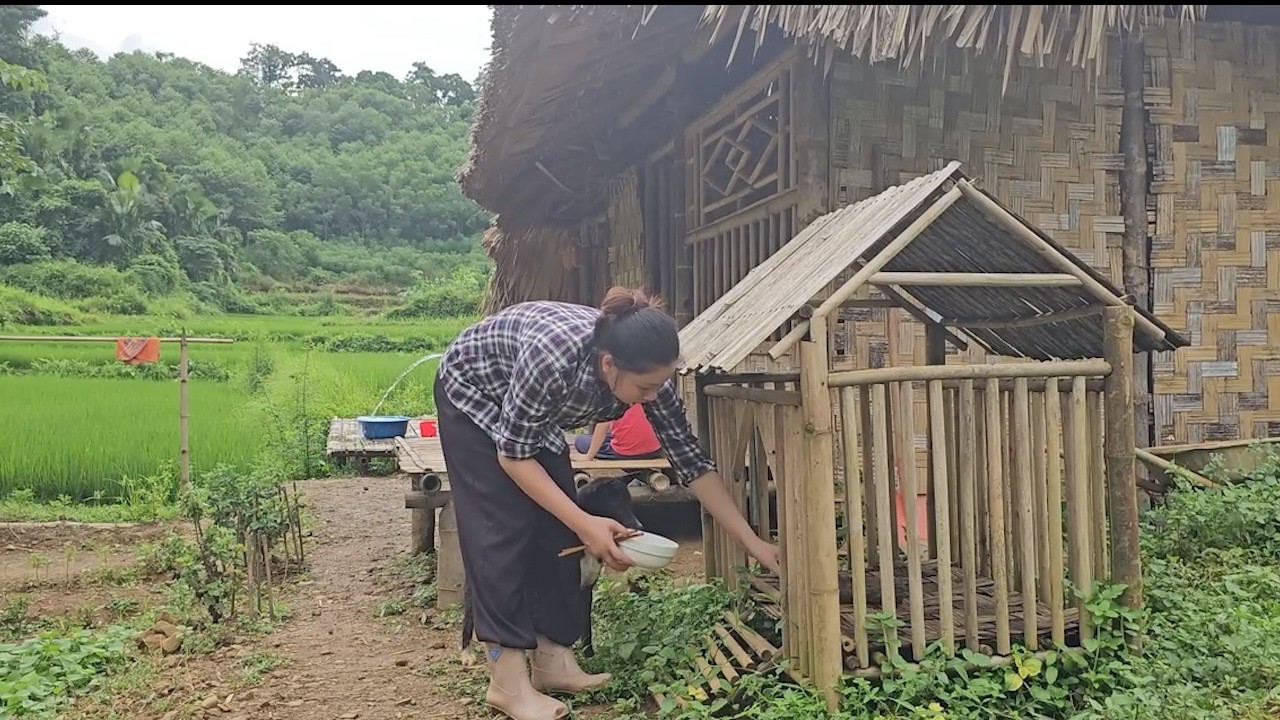 Three Days of Rain and Sunshine: Harvesting Vegetables, Building Water Troughs Before an Accident