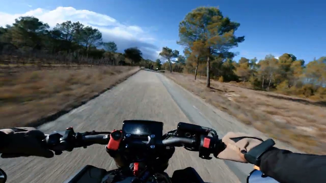 TRANSALP 99' x CB650R | ENGINE SOUND ONLY | STOCK EXHAUST | CINEMATIC | POV | FRANCE