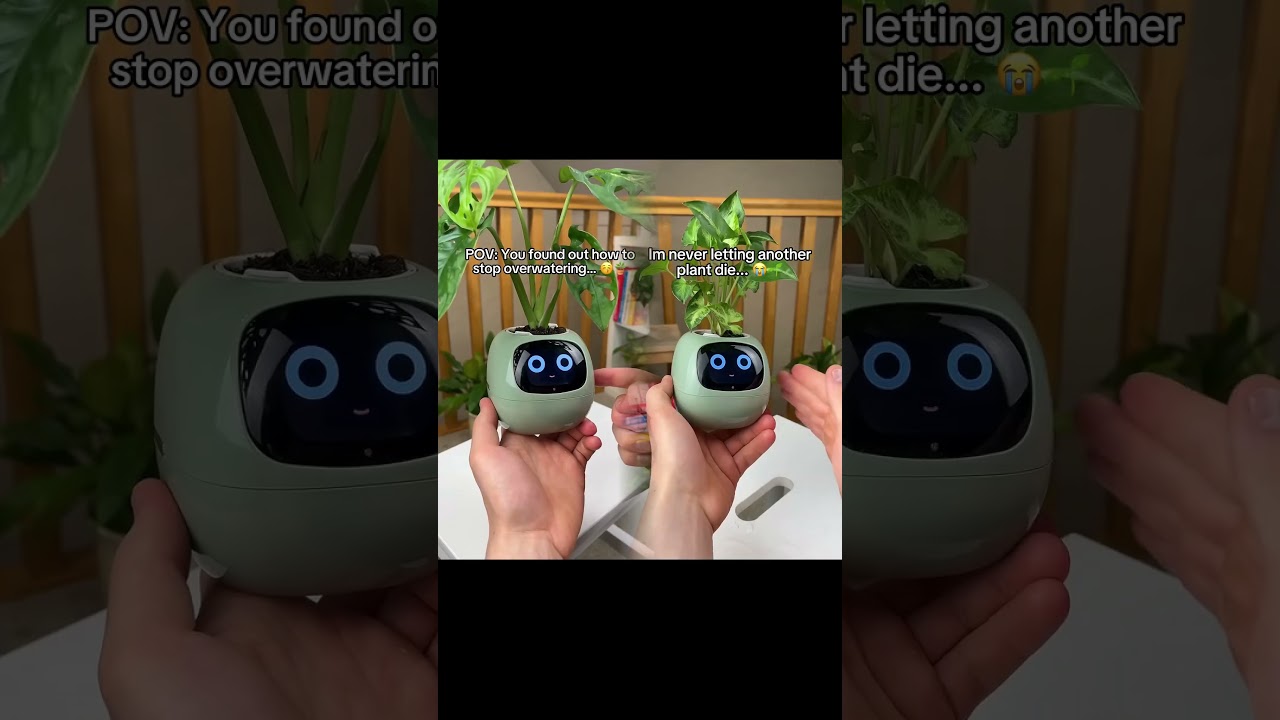 POV: You found out how to stop overwatering…