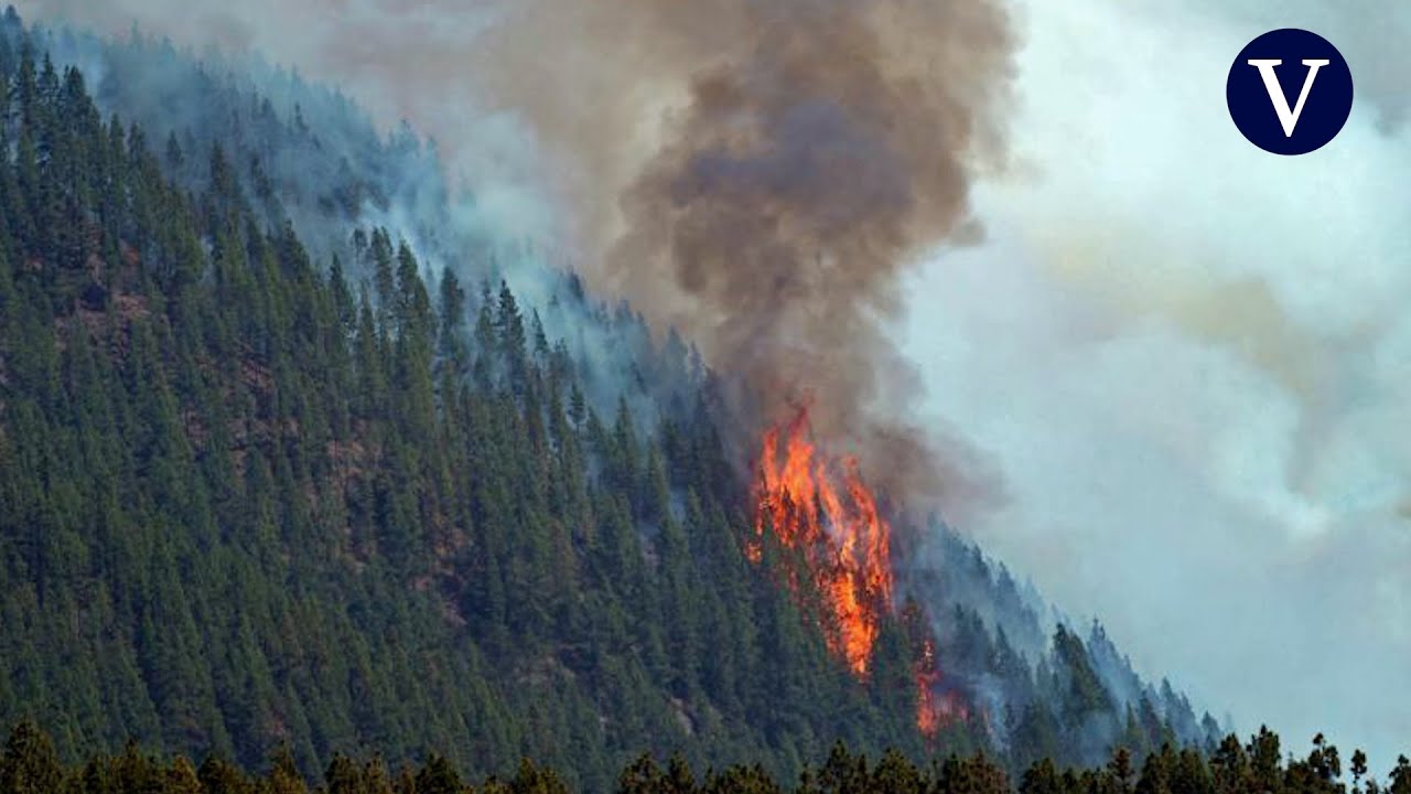 Logran perimetrar el incendio de Tenerife tras afectar a más de 2.400 hectáreas