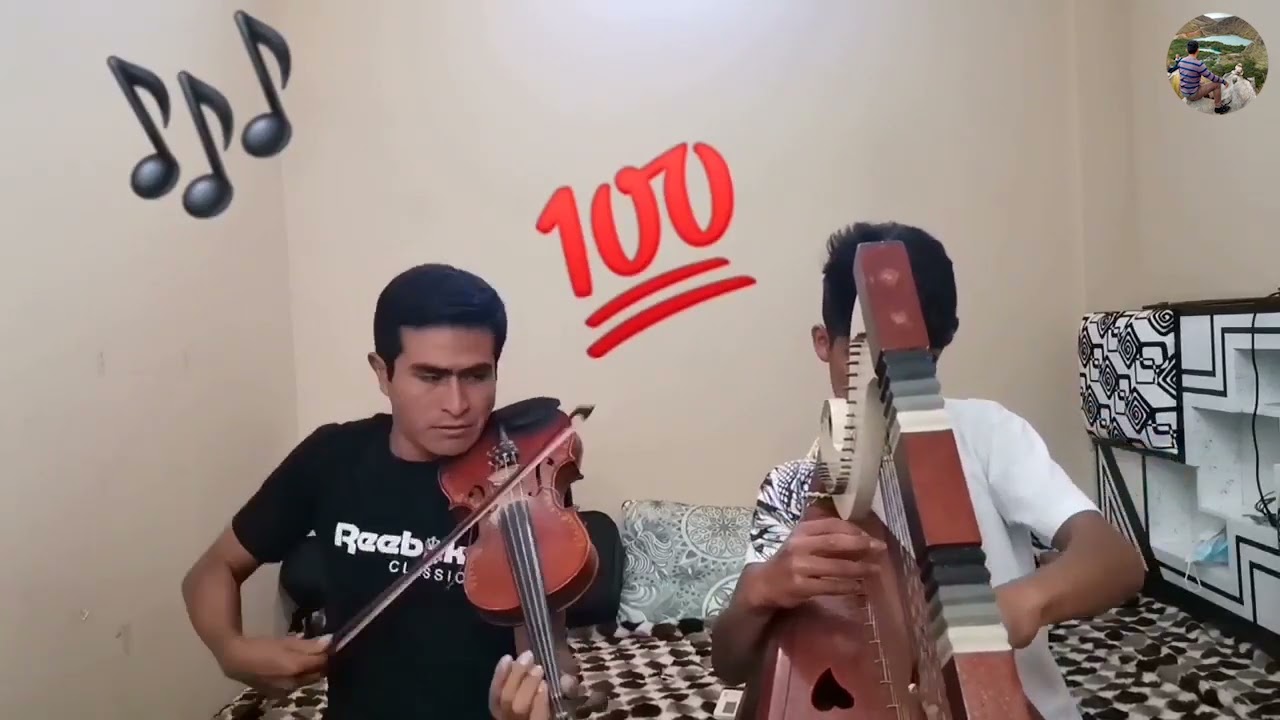 JARANA ARPA Y VIOLIN CON ZORRITO DE CAYANTO Y YEFERSON CASTRO🌺🎶
