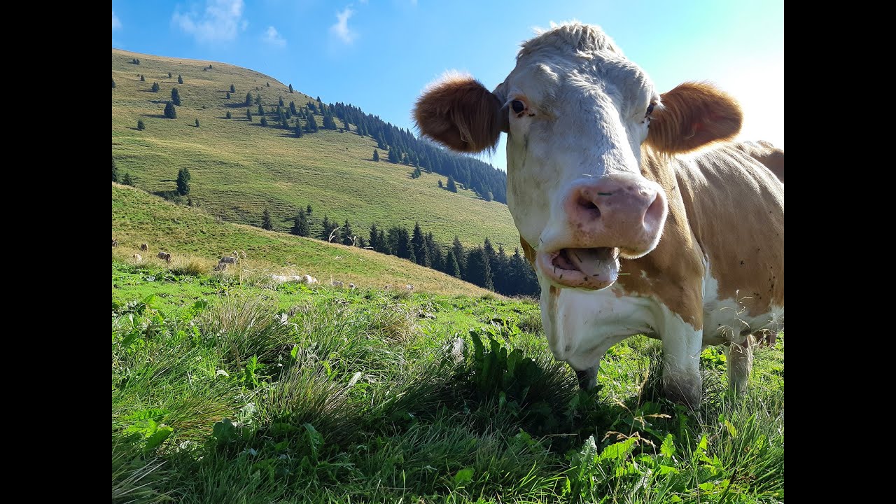 Da Parre al Rifugio Vaccaro