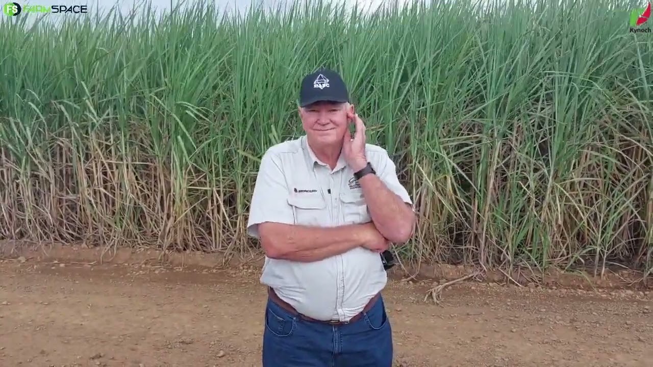 Client Testimonial: Dave Rattray, Gingindlovu #sugarcane #kzn #kynochfertilizer #sugarcanefarming