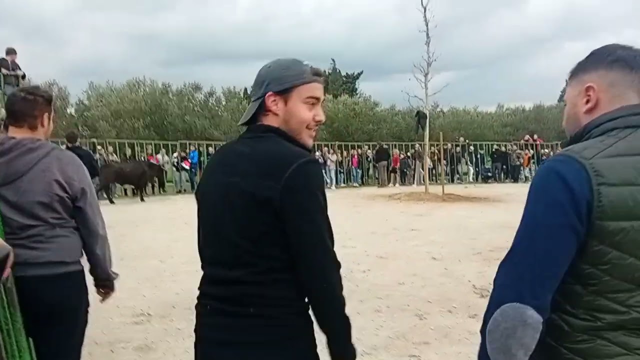 28 Décembre 2023 Course Au Plan Manade Robert H À La Crau De Châteaurenard 3