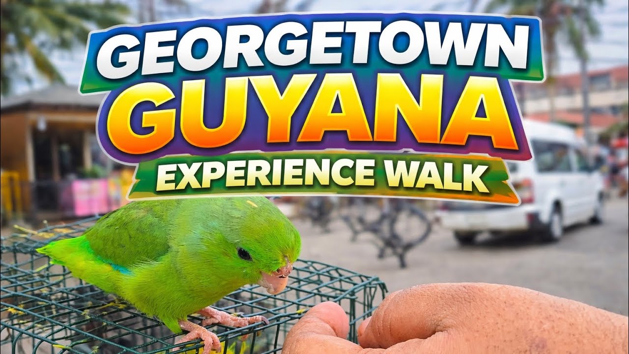 GEORGETOWN GUYANA EXPERIENCE WALK