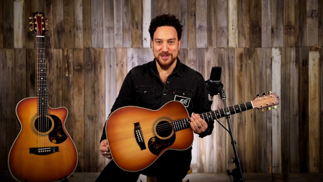 Maton Shapes - The Maton 808