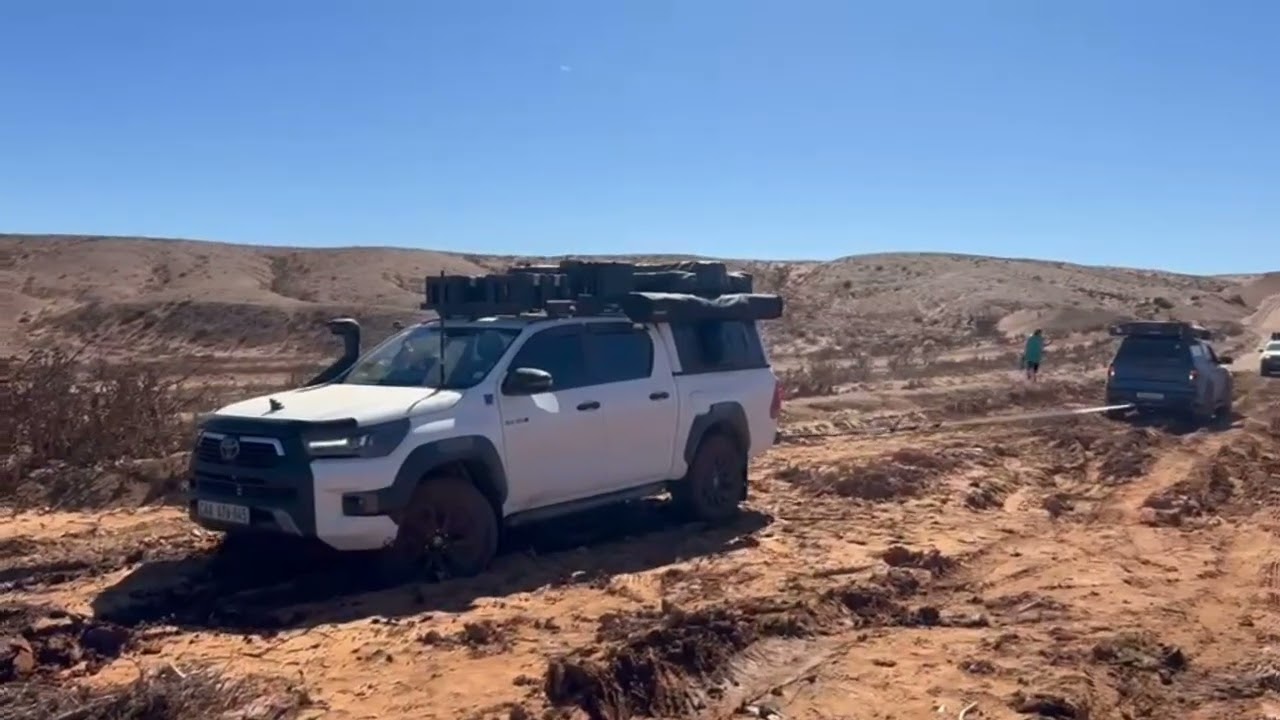 Namibia 2025 safari trip 