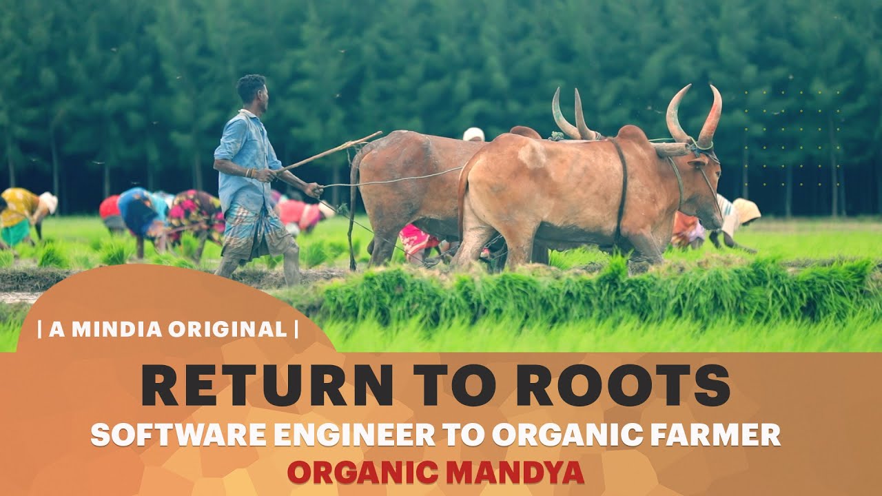 Return To Roots - Software Engineer To Organic Farmer | @Organic Mandya