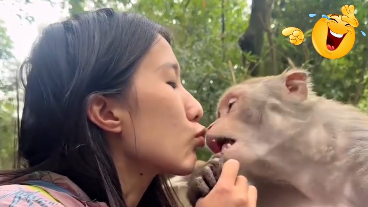 Funniest Monkeys Of The World😂🤣😅 l Funny Monkey Videos l Funny Videos Of The Week @Viralphone