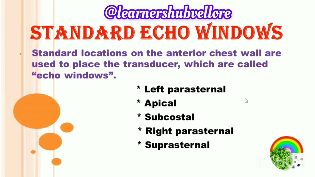 INTRODUCTION ON STANDARD ECHO WINDOWS (PART-1) | ECHOCARDIOGRAPHY