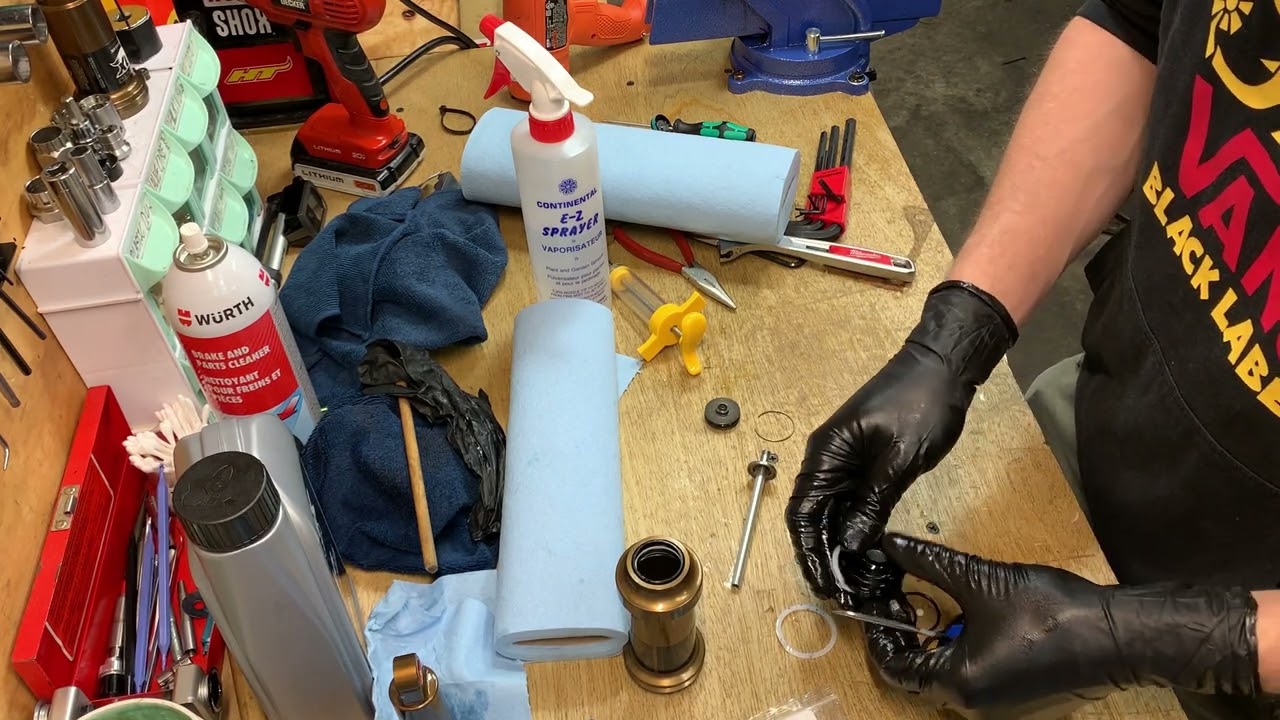 Fox Float DPX2 Rear Shock Full Service