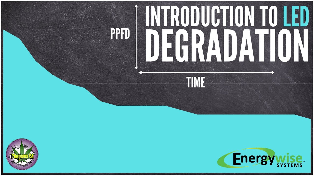 Predicting LED PPFD Levels with Time!