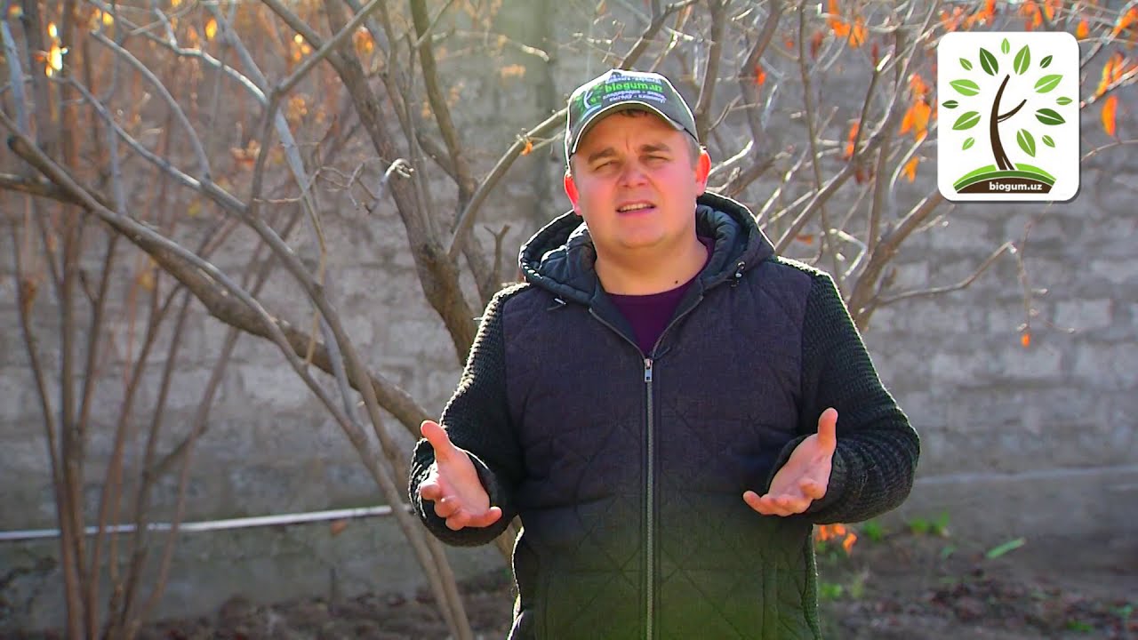 Ерга унумдорлик, чўнтакка даромад. Пётр Плехановдан фойдали маслаҳат👍