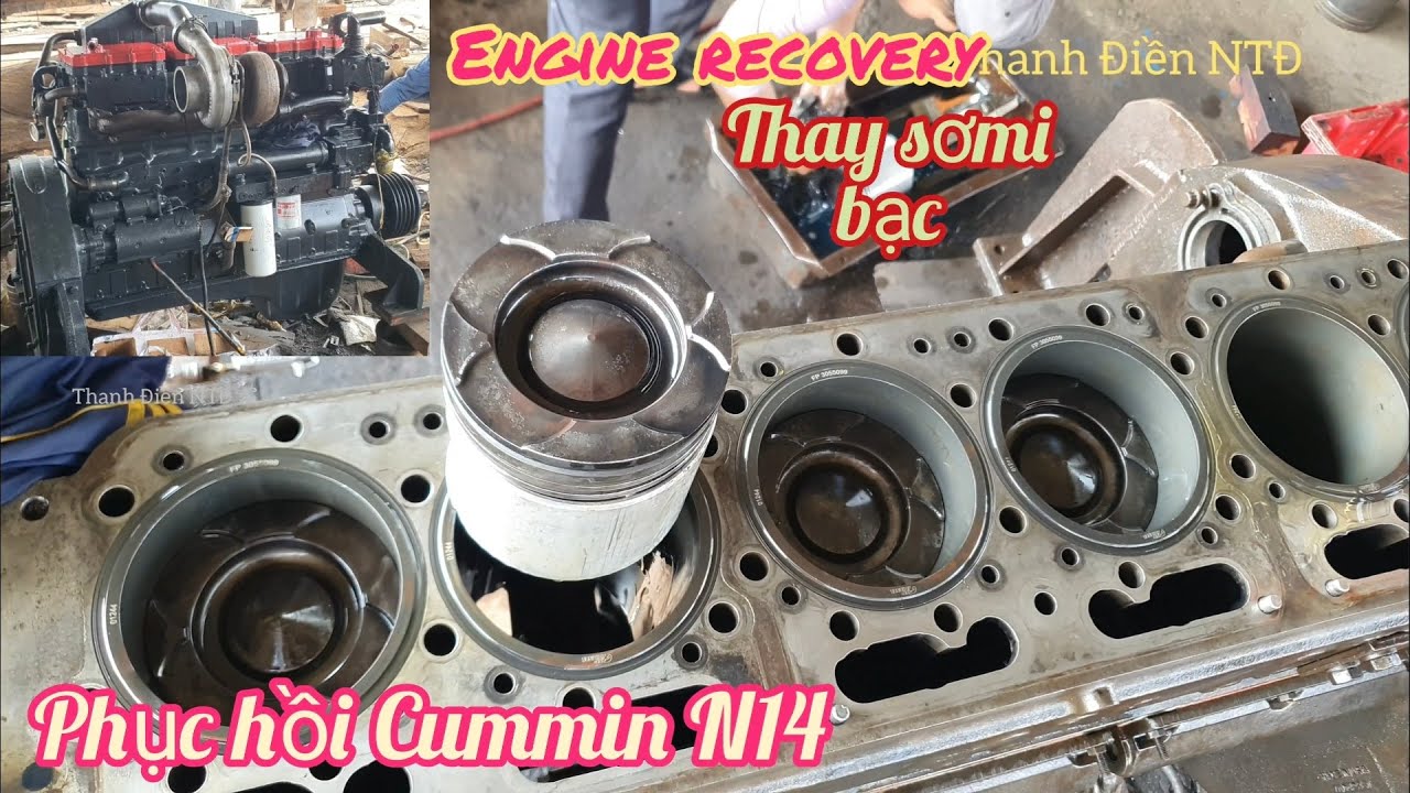 🔴Engine recovery🛠phục hồi Cummin N14 bét nhớt piston lắc 460ps