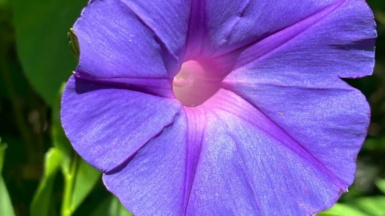 15 februari 2026