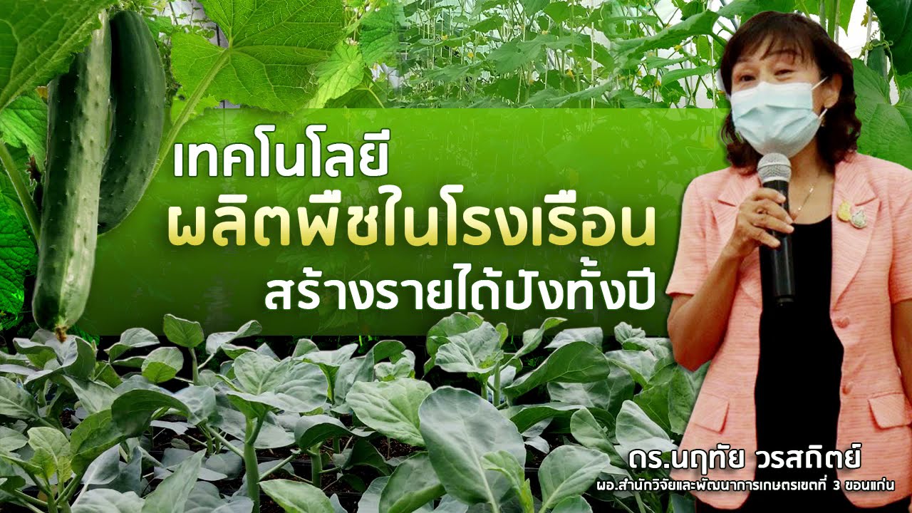 กรมวิชาการเกษตร ส่งต่อเทคโนโลยีผลิตพืชในโรงเรือน สร้างรายได้อย่างงามเกษตรกรปลูกได้ตลอดปี 3