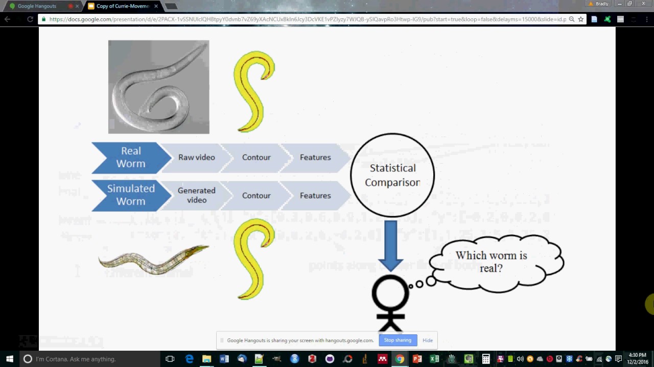 OpenWorm Open House -- Movement Validation overview.