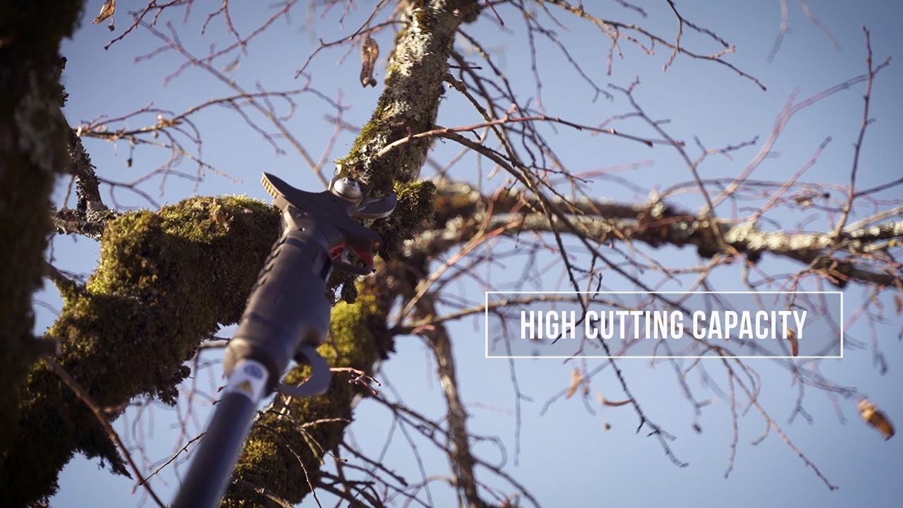 EN - LANDSCAPING - pruning shears F3020 / POWERCOUP PW3 - INFACO