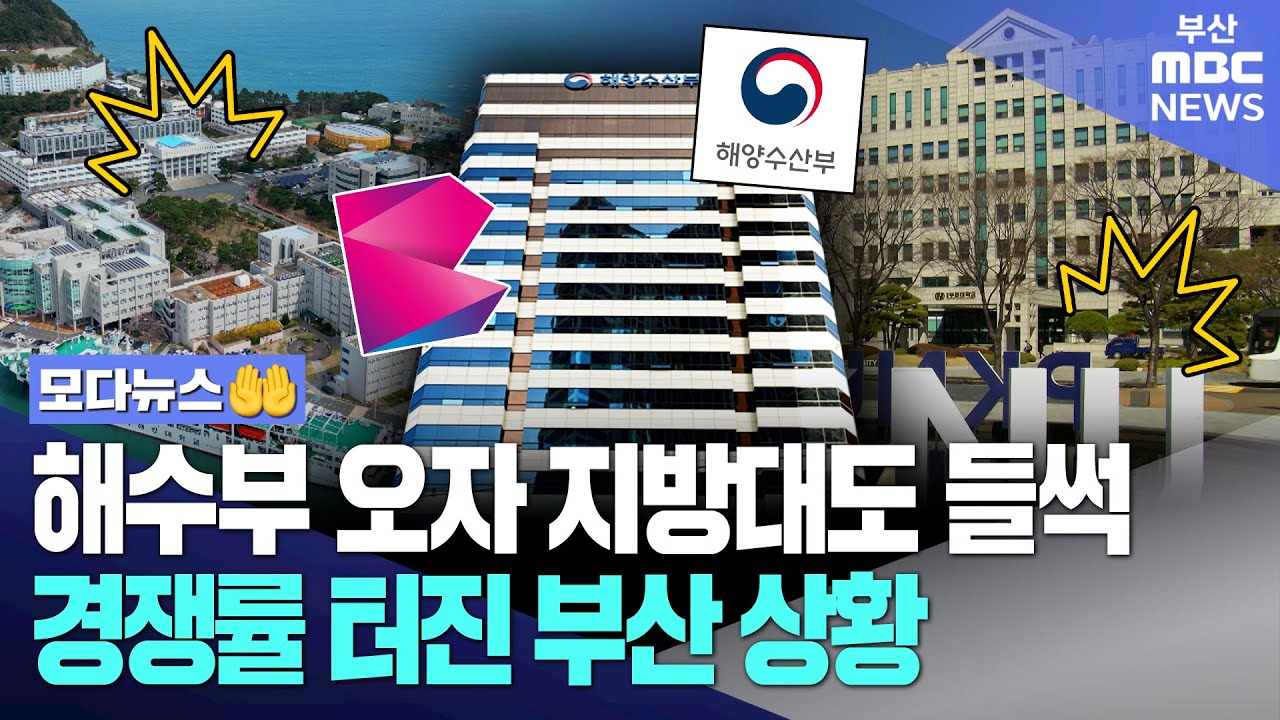 해수부 오자 지방대도 들썩.. 경쟁률 터진 부산 상황 | 모다뉴스🙌