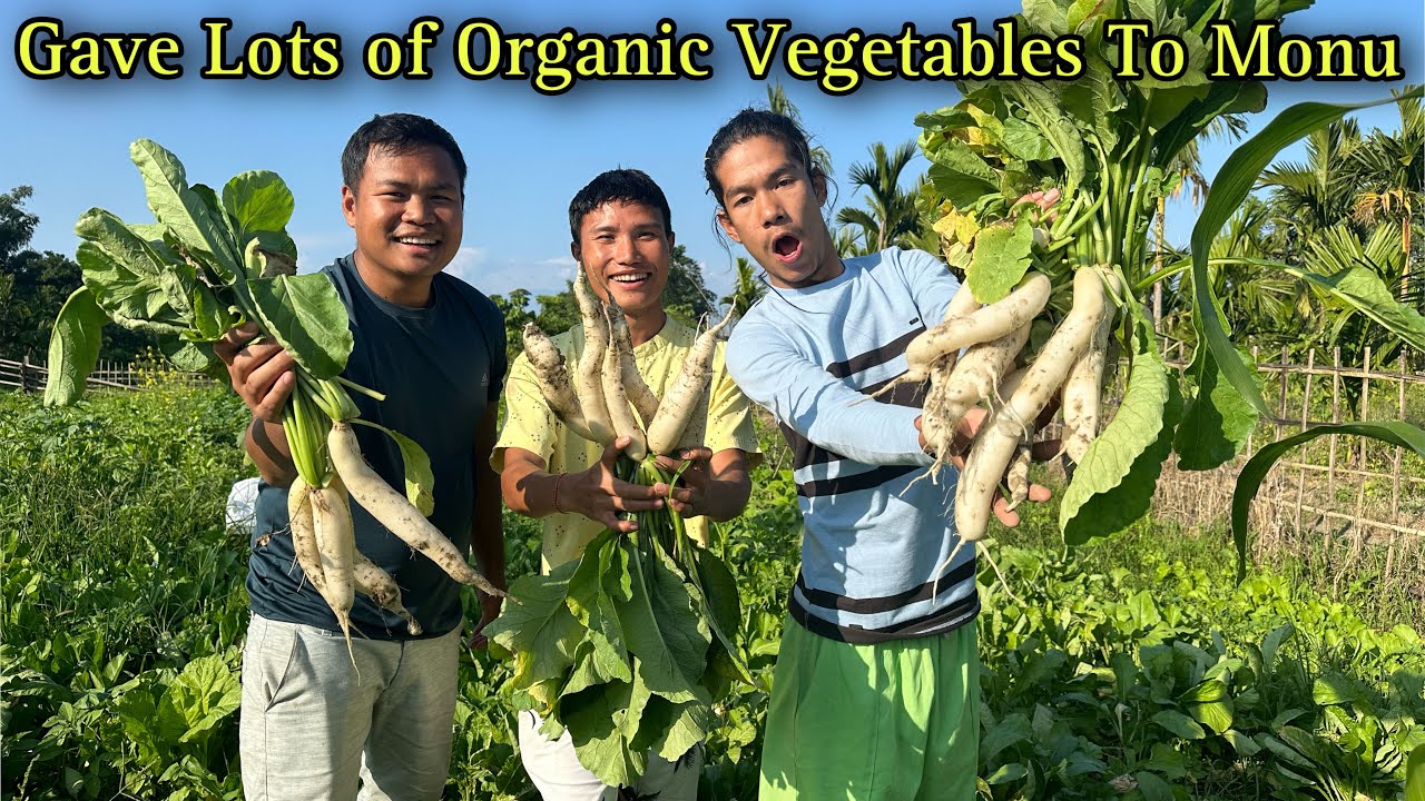 Gave Lots of Organic Vegetables To My Friend @MonuBikomiya. Monu Came To My Home After Long Time
