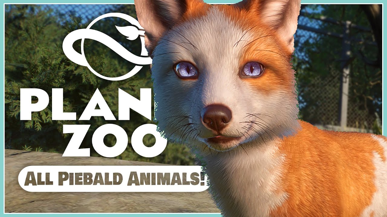Все пегие животные и как их получить! | Обновление Planet Zoo 1.11